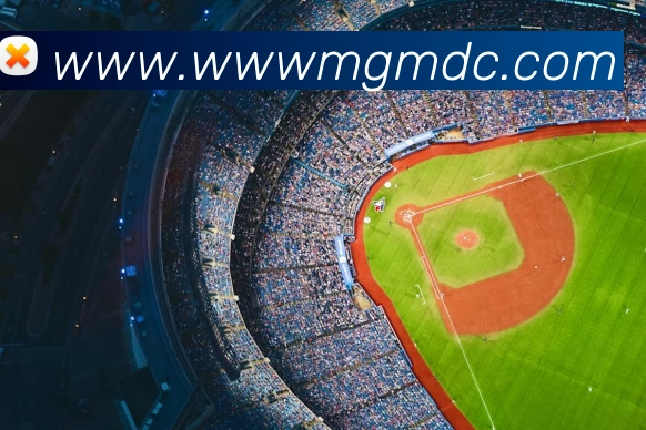 美狮美高梅mgm平台生态图